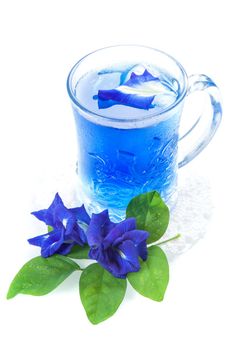 butterfly pea flower drink, herbal tea