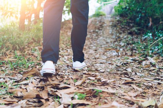 Man is walking into the wood or jungle nature walk way with sunlight.Slow life lifestyle and exercise.