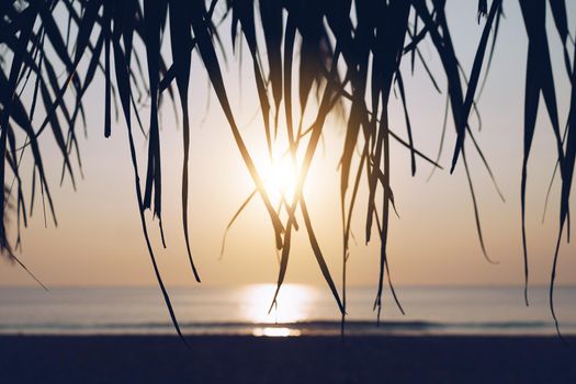 Tropical nature clean beach sunset sky time with sun light background