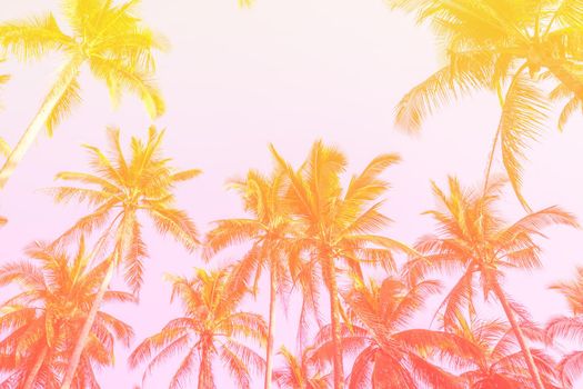 Tropical palm coconut trees on sunset sky flare and bokeh nature colorful copy space summer concept background