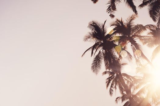 Tropical palm coconut trees on sunset sky flare and bokeh nature