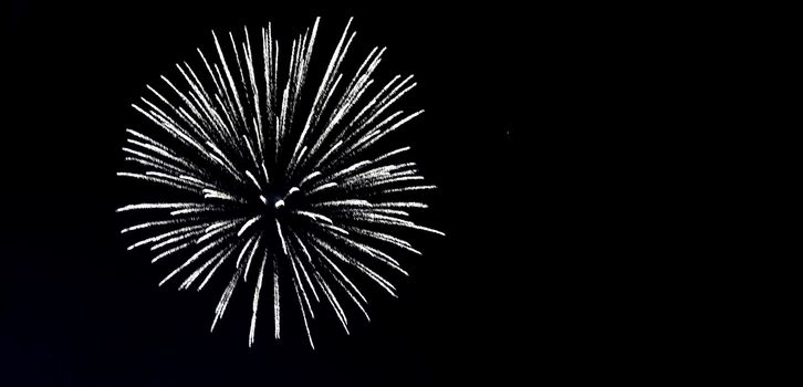 Fireworks in the night sky, copyspace.