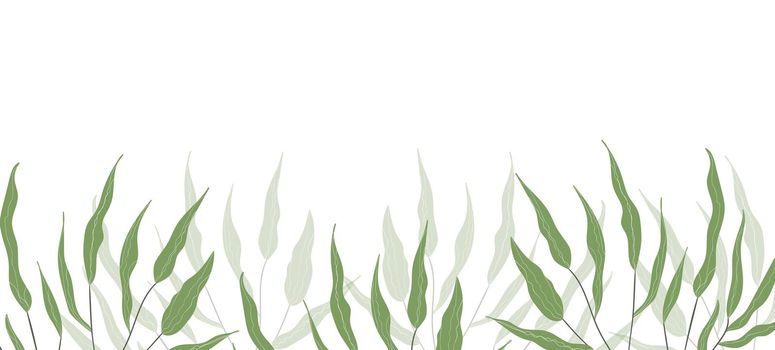 Floral web banner with drawn color exotic leaves. Nature concept design. Modern floral compositions with summer branches. Vector illustration on the theme of ecology, natura, environment.