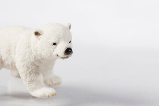 Toy polar bear on a white background. Big bear face