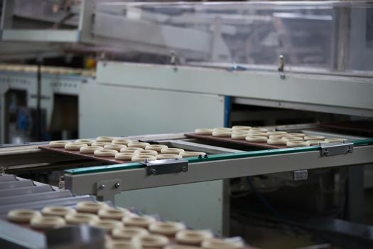Industrial line for the production of biscuits and bagels. Conveyor belt for the production of culinary products