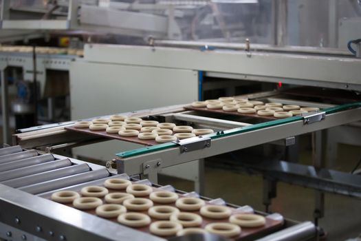 Industrial line for the production of biscuits and bagels. Conveyor belt for the production of culinary products