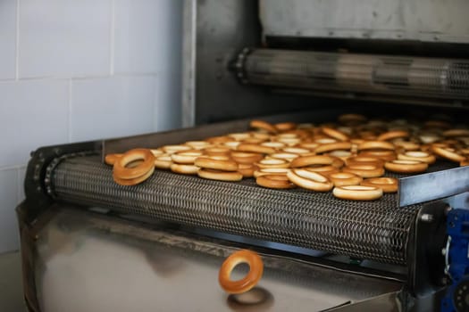 Industrial line for the production of brooches and biscuits
