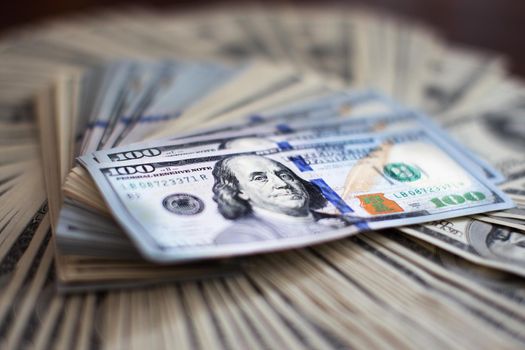 A lot of dollars. A bundle of money. The concept of wealth. Dollars
