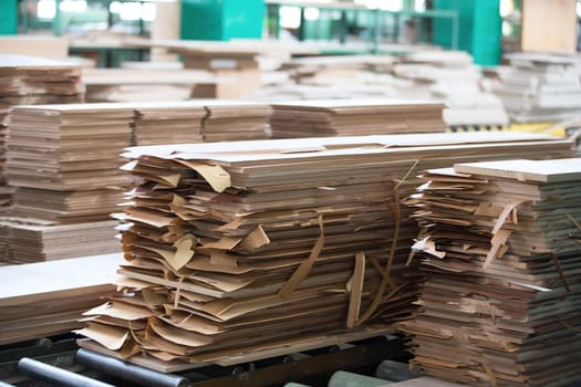 Wood processing plant. Workshop on processing of dreshes