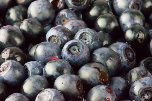 Blueberry blueberries background, close-up