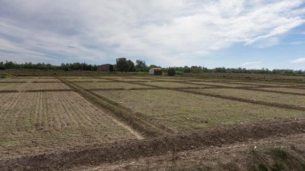 field dedicated to growing vegetables on a farm on the outskirts of Barcelona in Spain