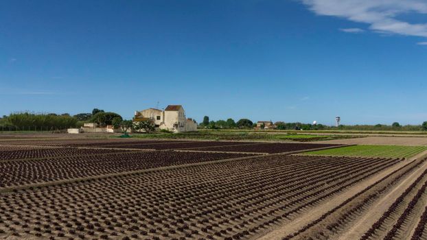 agriculture farm on the outskirts of barcelona in spain.