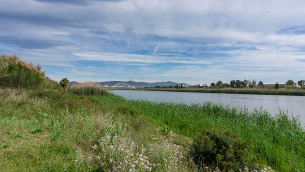 View of the mountain of Barcelona from a natural park on the outskirts of the city. El prat del llobregat