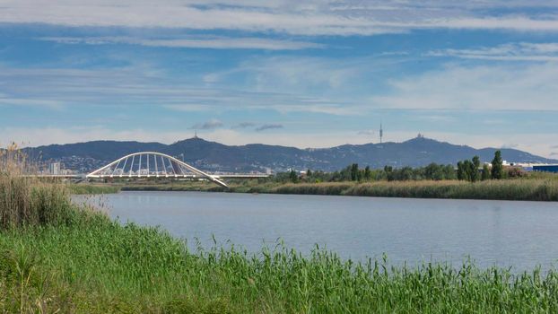 View of the mountain of Barcelona from a natural park on the outskirts of the city. El prat del llobregat