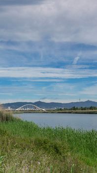 View of the mountain of Barcelona from a natural park on the outskirts of the city. El prat del llobregat