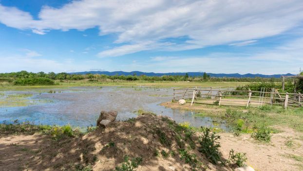 natural park on the outskirts of the city of barcelona in spain. El prat del llobregat