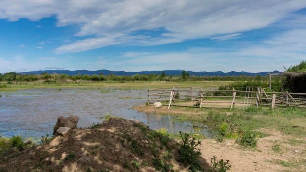 natural park on the outskirts of the city of barcelona in spain. El prat del llobregat