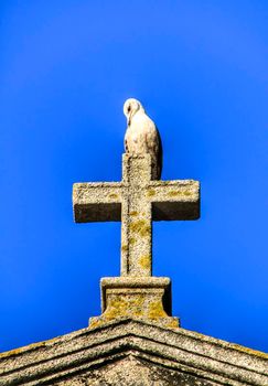 Seagull perched on top of a stone cross on the facade of a church in Oporto, Portugal