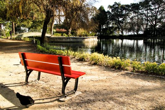 Red bench looking at the pond with ducks in the Idyllic Crystal Palace Garden in Oporto, Portugal