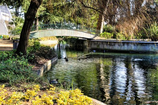Oporto, Portugal- January 6, 2020: Beautiful pond with ducks in the Idyllic Crystal Palace Garden in Oporto, Portugal