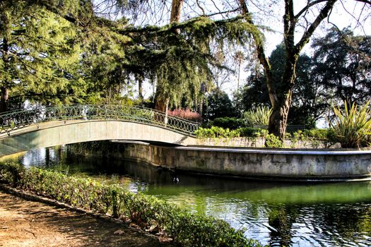 Oporto, Portugal- January 6, 2020: Beautiful pond with ducks in the Idyllic Crystal Palace Garden in Oporto, Portugal