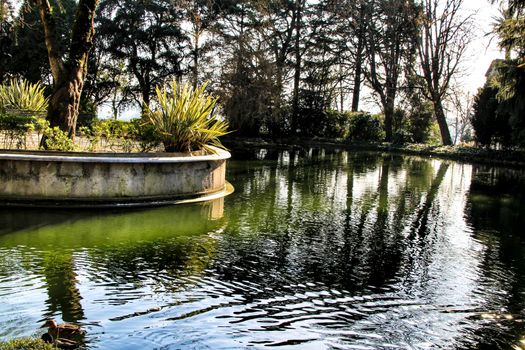 Oporto, Portugal- January 6, 2020: Beautiful pond with ducks in the Idyllic Crystal Palace Garden in Oporto, Portugal