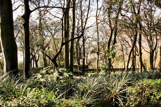 Oporto, Portugal- January 6, 2020: Beautiful and Idyllic Crystal Palace Gardens in Oporto, Portugal