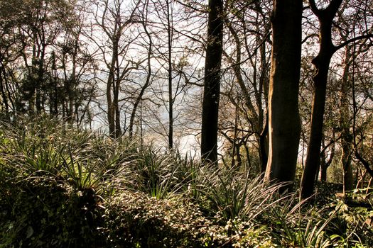 Oporto, Portugal- January 6, 2020: Beautiful and Idyllic Crystal Palace Gardens in Oporto, Portugal