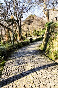 Oporto, Portugal- January 6, 2020: Beautiful and Idyllic Crystal Palace Gardens in Oporto, Portugal