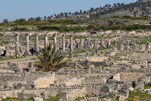 Volubilis is a site of Roman ruins and formerly a partly excavated Berber city in Morocco near the city of Meknes.The images show the ruined buildings and columns that are part of the large site High quality photo