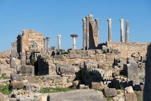 Volubilis is a site of Roman ruins and formerly a partly excavated Berber city in Morocco near the city of Meknes.The images show the ruined buildings and columns that are part of the large site High quality photo