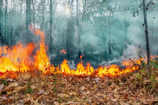 Australia bushfires, The fire is fueled by wind and heat.