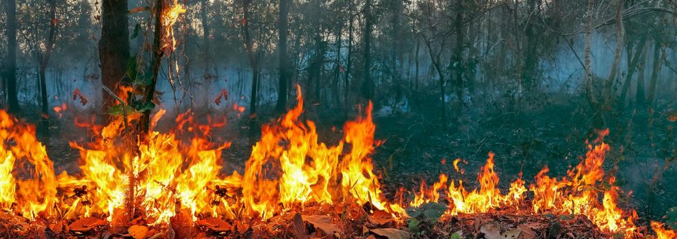 Australia bushfires, The fire is fueled by wind and heat.