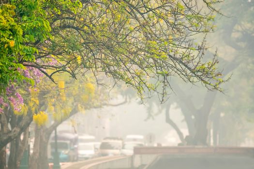 Amazon rainforest fires spread smoke descended on the city in Brazil