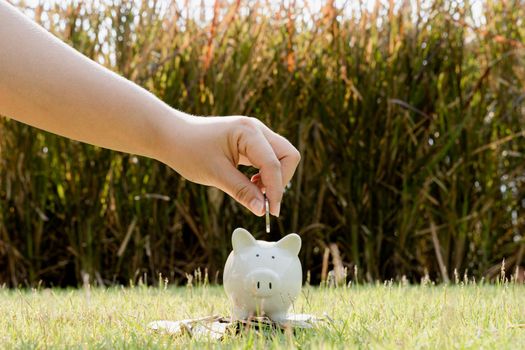 Hand putting money coin into piggy bank on blurred green natural background. Saving money and investment concept.