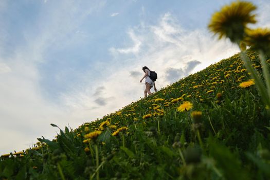 Woman climbs a hill along a path among flowers on a summer day.