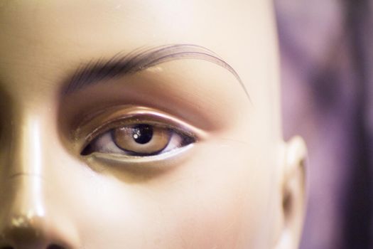 Female eye portrait of a mannequin. No people