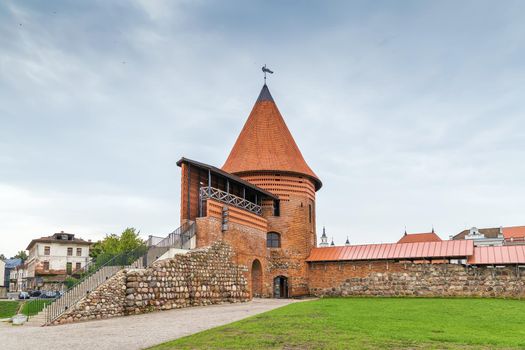 Kaunas Castle is a medieval castle situated in Kaunas, Lithuania. It was originally built during the mid-14th century, in the Gothic style. 