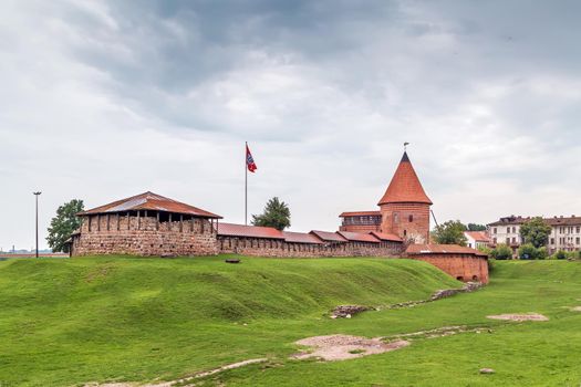 Kaunas Castle is a medieval castle situated in Kaunas, Lithuania. It was originally built during the mid-14th century, in the Gothic style. 