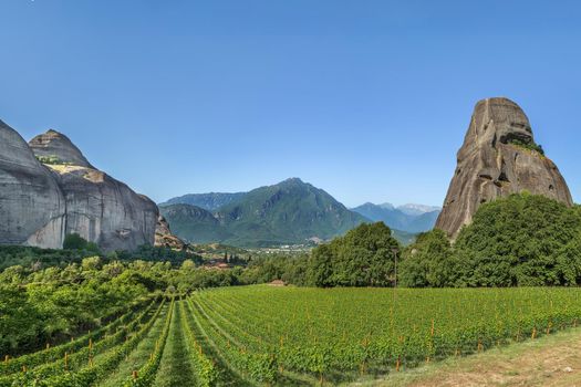 View of the vineyard and mountains in Meteora, Greece