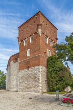 Thieves' Tower was erected in the 14th century in Wawel Castle, Krakow, Poland