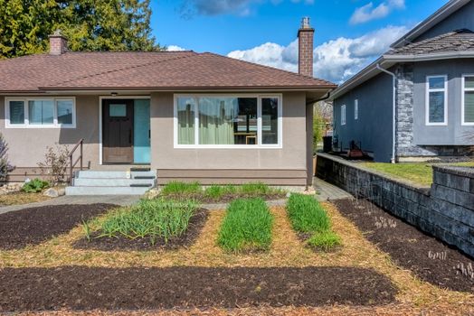 Green sprouts on garden patches in front of residential house.