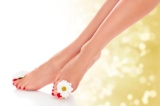 Beautiful female legs with daisy flower on golden blurred background.
