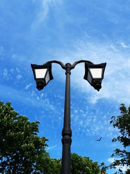 Street lamp against the background of a blossoming spring tree and blue sky.