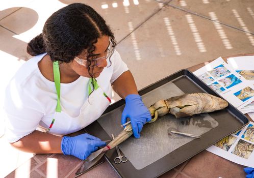 Latina Teenager studies instructions to dissect shark for Biology Class.