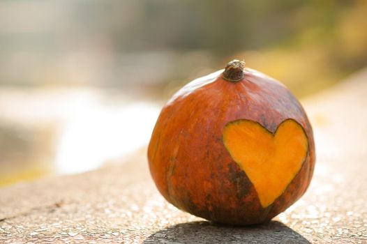 Autumn is love. Pumpkin with carved heart on