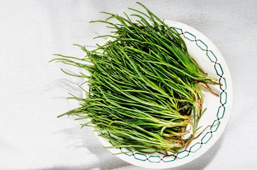 Bunch of agretti -salsola soda or opposite -leaved saltwort -on white plate ,fresh uncooked green leaves