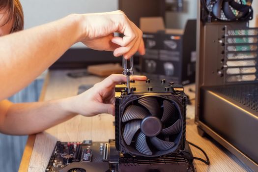 Installing a cooler on a personal computer processor. The process of upgrading computer maintenance in a service