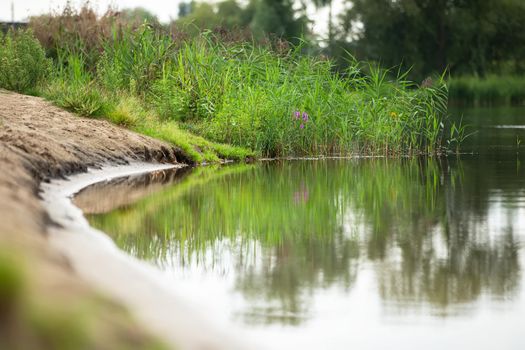 Beautiful background with a lake and grass.