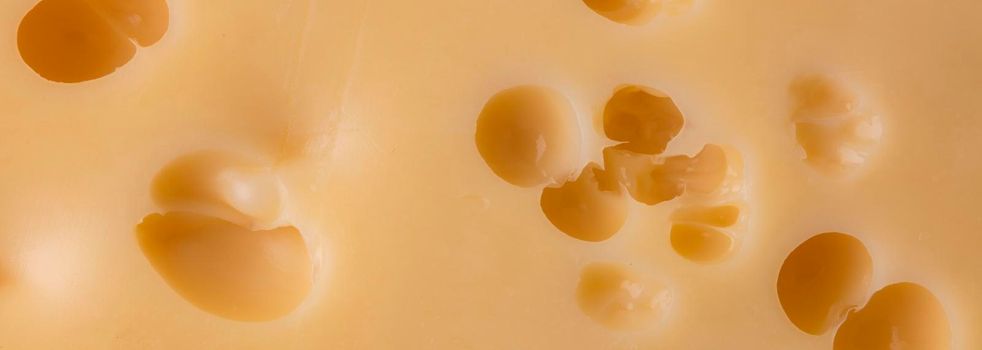Cheese texture with large holes.Piece of cheese isolated